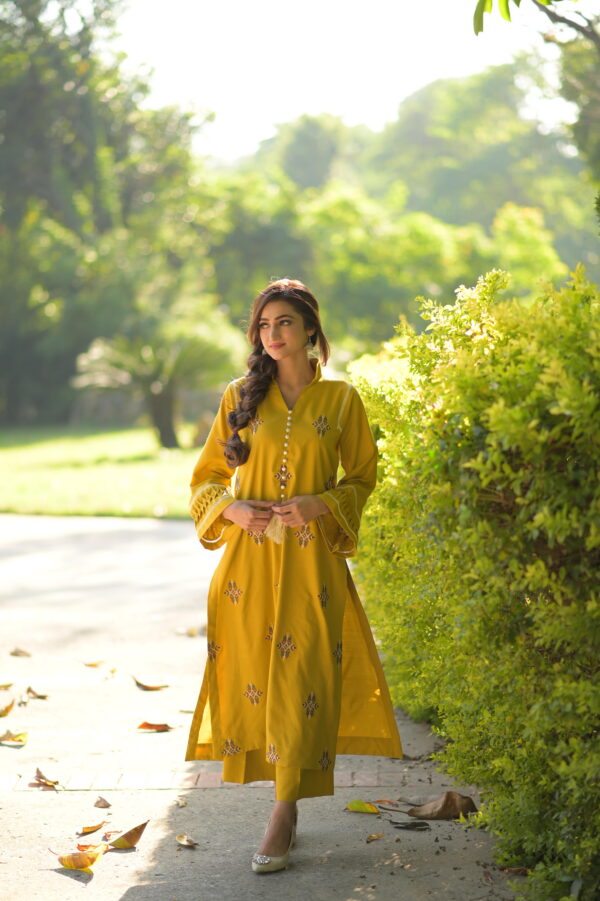 AMBER - Image 3